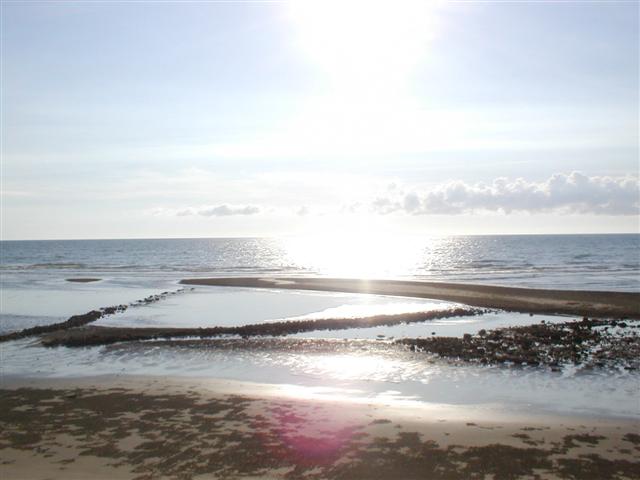Beachside patterns